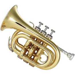 ADAPEY Miniature Trumpet Model, Professional mini trumpet Mini Pocket Trumpet Bb Flat Brass Wind Instrument With Mouthpiece
