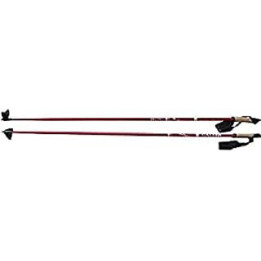 CALTER X- Snow Quefeldein Ski Poles, Unisex, X-SNOW Quefeldein Skistöcke