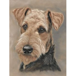 Large Airedale terrier art print dog poster of original painting by Tracey Earl, Size A3 unframed.