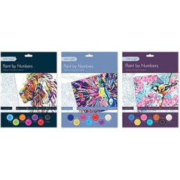 Tallon Adult Paint by Numbers - Assorted Designs X1 Random Set