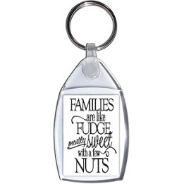 Families are like Fudge mostly Sweet with a few Nuts - Keyring
