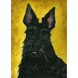 5X7 PRINT OF ORIGINAL PAINTING RYTA SCOTTISH TERRIER PORTRAIT SCOTTIE SCOTTY DOG PET ALPHA MALE HOME HOUSE INTERIOR DECOR