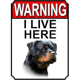 SHAWPRINT WARNING I LIVE HERE METAL GATE SIGN ROTTWEILER THEME 200MM X 150MM (1347H1)