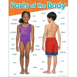 TREND enterprises, Inc. Parts of The Body Learning Chart, 17" x 22"