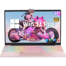 Fsjun 14-inch 4K UHD (3840x2160) IPS Display Laptop, Win 11 Pro/Office 2019, Celeron N5095(up to 2.9Ghz), 16GB RAM, 1TB SSD,