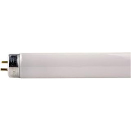 F15w - T8 Triphosphor Fluorescent Tube 18inch 15W - Colour Daylight - 865