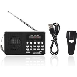 LIULDASHUN Portable Digital Audio Player, Music Speaker Support FM Radio TF SD Card USB, with Display for Hiking Walking, USB