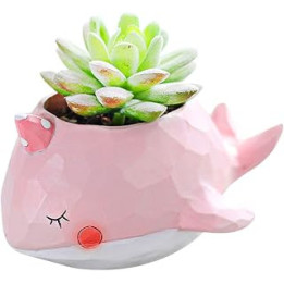 Gift For Her - Cute Indoor Flower Pots, Flower Vase for Planters and Herbs - A Garden Decoration with Small Pink Whale Animal
