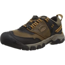Men's Ridge Flex Waterproof Hiking Boot