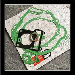 TERAM LOISIRS Pouch Engine Gasket Compatible Yamaha Ybr 125 Of 2004 2005 2006 2007 2008 2009 2010 New France