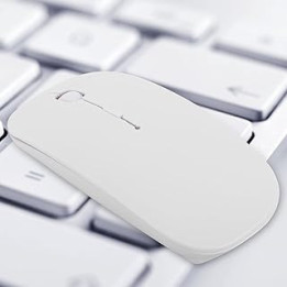 Bewinner Wireless Mouse, 1000/1200/1600 DPI Variable 4 Keys Mini Silent Rechargeable Mouse for Laptop/PC, Ergonomic Desktop