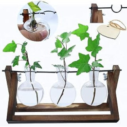laffeya Terrarium Planter, Desktop Glass Planter with 3 Vase, Hydroponic Plants Cuttings Holder for Home Decoration, Gift for