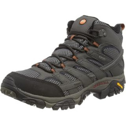 Men's Moab 2 Mid GTX Walking Shoe